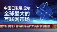 中国成为全球最大互联网市场 网民规模近11亿 - 8world